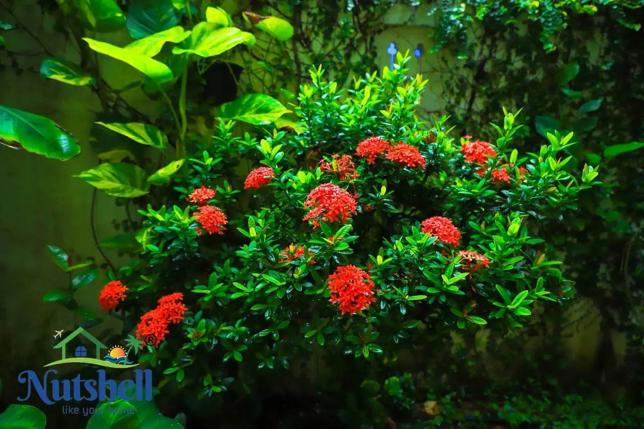 Nutshell-Airport Retreat By The Sea Apartment Thiruvananthapuram Homestay